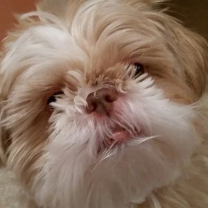 Meet your Posher, Madonna